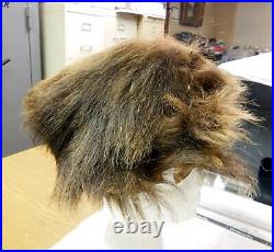 Antique Native American One of a Kind, Mandan Buffalo Hair and Skin Head Dress