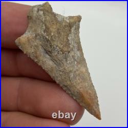 Arrowhead Authentic Native American Artifact Superb Craftsmanship Hardee Cty Fl