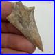Arrowhead Authentic Native American Artifact Superb Craftsmanship Hardee Cty Fl