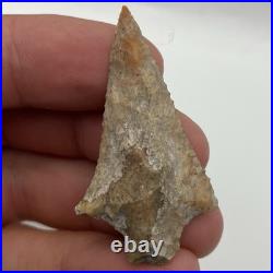 Arrowhead Authentic Native American Artifact Superb Craftsmanship Hardee Cty Fl