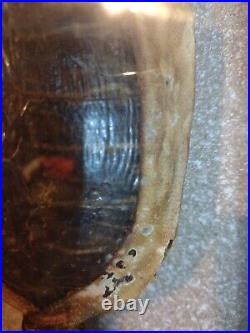 Authentic Native American Navajo Relic Medicine Man Good Fortune Scalp Skin