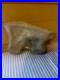 Authentic Paleoethic Native American Indian Stone Effigy Very Rare