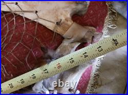 Awesome Vintage Native American Buffalo Jaw Bone Dreamcatcher One Of A Ki Nd