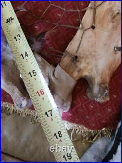 Awesome Vintage Native American Buffalo Jaw Bone Dreamcatcher One Of A Ki Nd