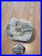 Blue Triggerfish, Native American Indian Stone Effigy RockArt, Artifacts, Tools