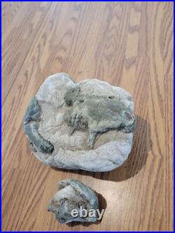 Blue Triggerfish, Native American Indian Stone Effigy RockArt, Artifacts, Tools