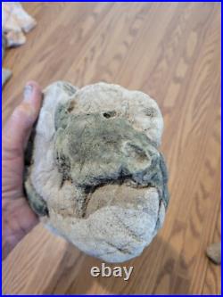 Blue Triggerfish, Native American Indian Stone Effigy RockArt, Artifacts, Tools