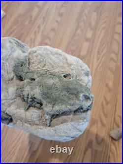 Blue Triggerfish, Native American Indian Stone Effigy RockArt, Artifacts, Tools