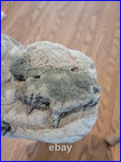Blue Triggerfish, Native American Indian Stone Effigy RockArt, Artifacts, Tools