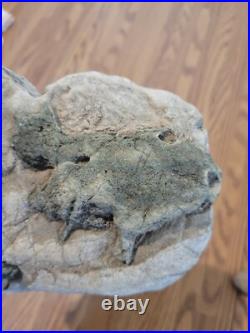 Blue Triggerfish, Native American Indian Stone Effigy RockArt, Artifacts, Tools