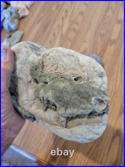 Blue Triggerfish, Native American Indian Stone Effigy RockArt, Artifacts, Tools