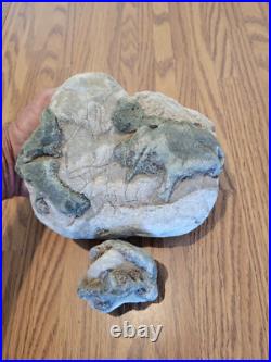 Blue Triggerfish, Native American Indian Stone Effigy RockArt, Artifacts, Tools
