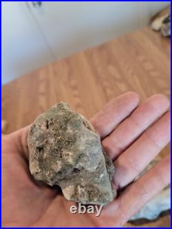 Blue Triggerfish, Native American Indian Stone Effigy RockArt, Artifacts, Tools