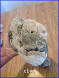 Blue Triggerfish, Native American Indian Stone Effigy RockArt, Artifacts, Tools
