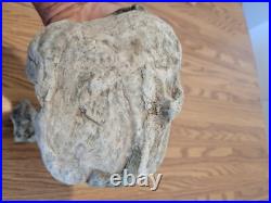 Blue Triggerfish, Native American Indian Stone Effigy RockArt, Artifacts, Tools