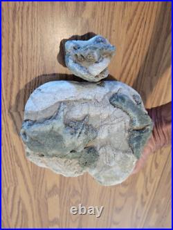 Blue Triggerfish, Native American Indian Stone Effigy RockArt, Artifacts, Tools