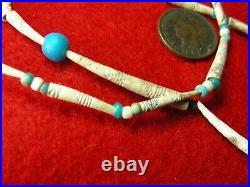 ENGRAVED SHELL and TRADE BEAD 20 NECKLACE EX BERG WASHINGTON Indian Relics