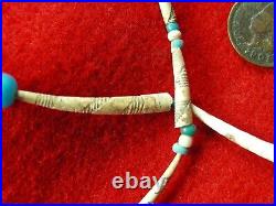ENGRAVED SHELL and TRADE BEAD 20 NECKLACE EX BERG WASHINGTON Indian Relics