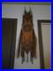 Eagle In The Sun Vintage Native Art American Indian