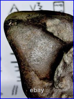 Effigy Native American Indian Authentic Stone Effigy, 1 lb 4 oz. VA
