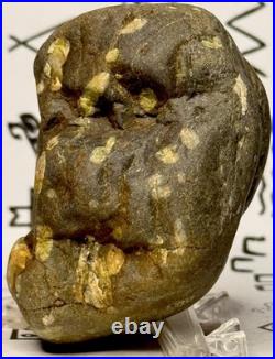 Effigy Native American Indian Authentic Stone Effigy Carved, 11.9 oz. VA