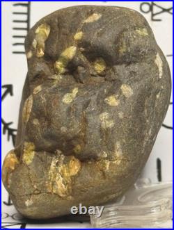 Effigy Native American Indian Authentic Stone Effigy Carved, 11.9 oz. VA