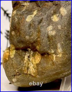 Effigy Native American Indian Authentic Stone Effigy Carved, 11.9 oz. VA