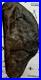 Effigy Native American Indian Authentic Stone Effigy Carved, 13.7 oz. VA