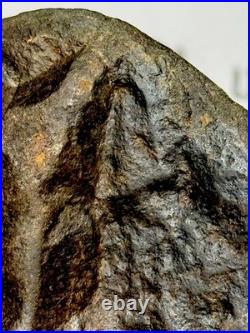 Effigy Native American Indian Authentic Stone Effigy Carved, 13.7 oz. VA