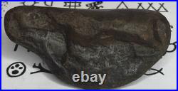 Effigy Native American Indian Authentic Stone Effigy Carved, 13.7 oz. VA
