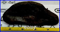 Effigy Native American Indian Authentic Stone Effigy Carved, 13.7 oz. VA