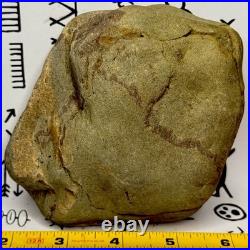 Effigy Native American Indian Authentic Stone Effigy Carved, 2 lb. VA
