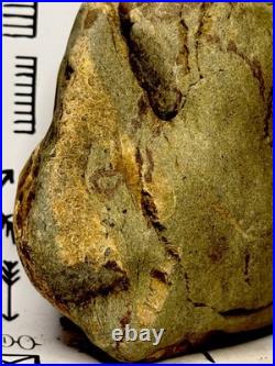 Effigy Native American Indian Authentic Stone Effigy Carved, 2 lb. VA