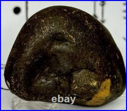 Effigy Native American Indian Authentic Stone Effigy Carved, 5.5 oz. VA