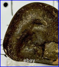Effigy Native American Indian Authentic Stone Effigy Carved, 5.5 oz. VA