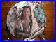 Hand Painted Native American Indian with Wolf DREAM CATCHER Velvet w Feathers