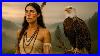 Healing Flute Echoes Native American Music For Deep Sleep Stress Relief U0026 Inner Peace
