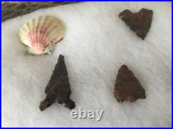 Native American Flintnapped Collection Shadow Box