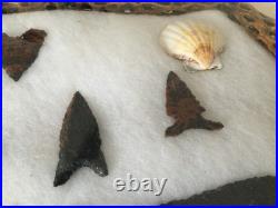 Native American Flintnapped Collection Shadow Box