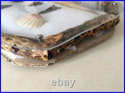 Native American Flintnapped Collection Shadow Box