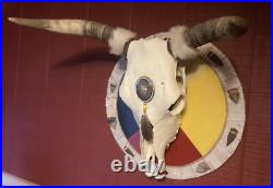 Native American Indian Art /Real Skull, Feather, Birch Bark & 11 Arrowheads Native American Indian Art /Real Skull, Feather, Birch Bark & 11 Arrowheads