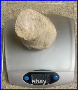 Native American Indian Artifact 22lb Grinding Stone BELL Pestle 2.75