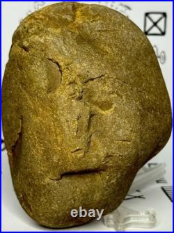 Native American Indian Authentic Artifact Stone Carved Effigy, 1 lb 8 oz. VA