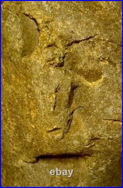 Native American Indian Authentic Artifact Stone Carved Effigy, 1 lb 8 oz. VA