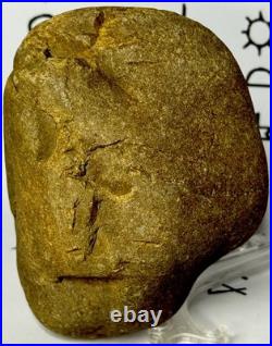 Native American Indian Authentic Artifact Stone Carved Effigy, 1 lb 8 oz. VA