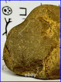 Native American Indian Authentic Artifact Stone Carved Effigy, 1 lb 8 oz. VA