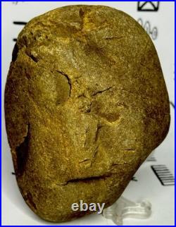 Native American Indian Authentic Artifact Stone Carved Effigy, 1 lb 8 oz. VA