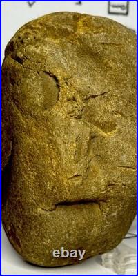 Native American Indian Authentic Artifact Stone Carved Effigy, 1 lb 8 oz. VA