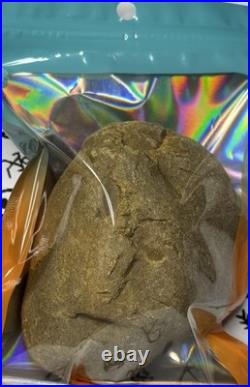 Native American Indian Authentic Artifact Stone Carved Effigy, 1 lb 8 oz. VA