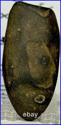 Native American Indian Authentic Artifact Stone Carved Effigy, 2.1 oz. VA